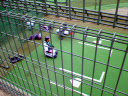 NEC_0069.jpg