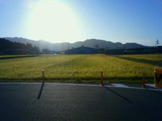 200909201651000.jpg