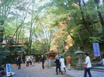200911151047000.jpg
