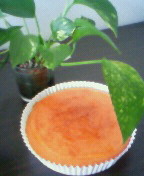 201006061612000.jpg