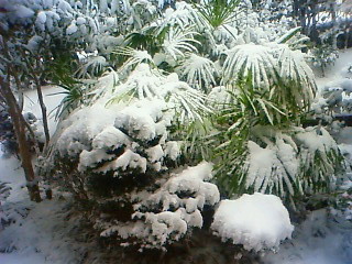 201012311151000.jpg