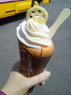 201105081344000.jpg